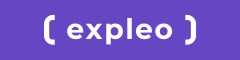 Senior Business Analyst Logo