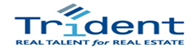 Assistant Income Officer Logo