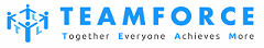 Civils Site Engineer Logo