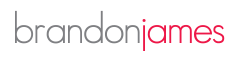 Bid Writer Logo