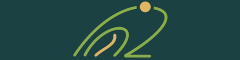 Paediatric Occupational Therapist Logo