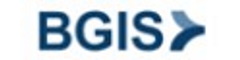 Lead Engineer Logo